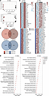 Carmn promotes angiogenic activity by activating the hedgehog signaling pathway. Carmn promotes angiogenic activity by activating the hedgehog signaling pat