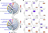 Deficiency of lncRNA CARMN regulates expression of key Hedgehog signaling pathway genes. Deficiency of lncRNA CARMN regulates expression of key Hedgehog signaling p