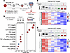 Differential gene expression and pathway modulation in persister cells. Differential gene expression and pathway modulation in persister cells.