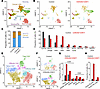 Immune cell dynamics in the TME following CDK4/6i and CDK7i treatment. Immune cell dynamics in the TME following CDK4/6i and CDK7i treatment.