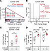 CDK4/6i and CDK7i combination enhances immune-modulatory signaling and tumor antigen–specific T cell responses. CDK4/6i and CDK7i combination enhances immune-modulatory signaling and tumo