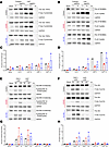 Patient-derived SLFN14 mutant platelets show reduced signaling in response to major platelet agonists assessed by Western blotting. Patient-derived SLFN14 mutant platelets show reduced signaling in response
