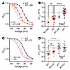 FGF13 differentially affects consequences of manipulation of membrane-accessible cholesterol on SSI of VGSCs in cardiomyocytes. FGF13 differentially affects consequences of manipulation of membrane-acces