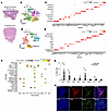 Immune cell landscape in Sweet syndrome. Immune cell landscape in Sweet syndrome.