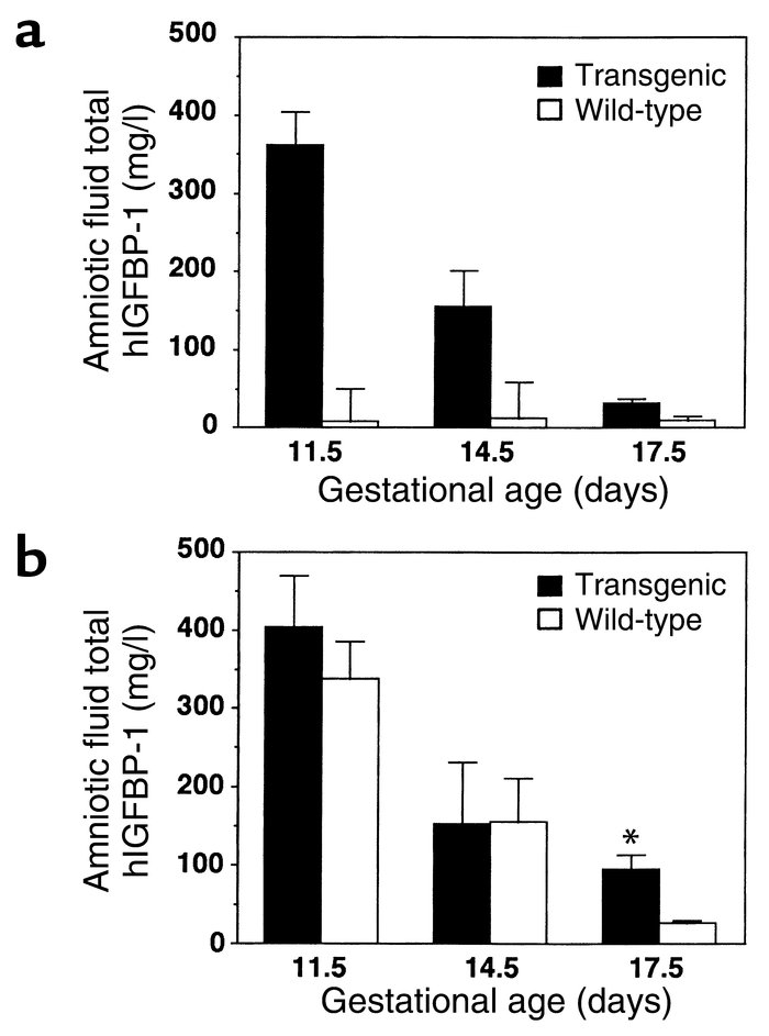 Amniotic fluid hIGFBP-1 levels across gestation. Total hIGFBP-1 levels i...