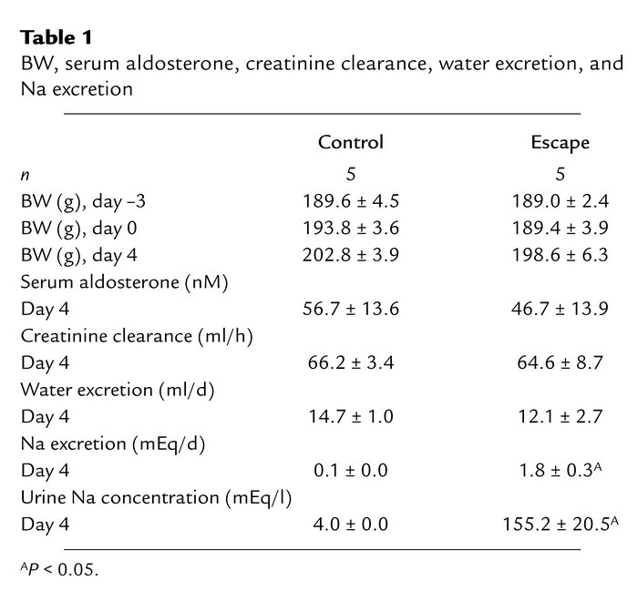 BW, serum aldosterone, creatinine clearance, water excretion, and Na exc...