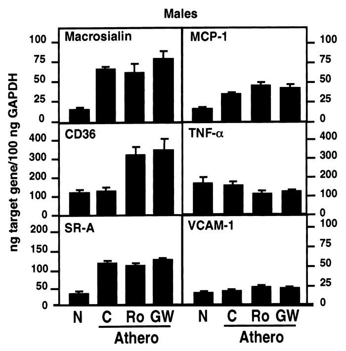 Expression of macrosialin, CD36, SR-A, MCP-1, TNF-α, and VCAM-1 mRNA in ...