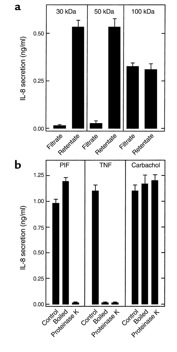PIF is a heat-stable protein. Samples from a and b were applied basolate...