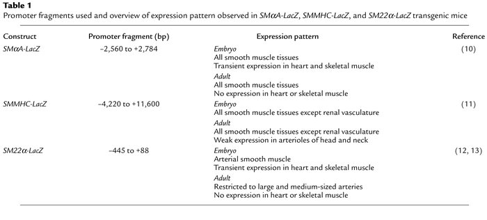Promoter fragments used and overview of expression pattern observed in S...