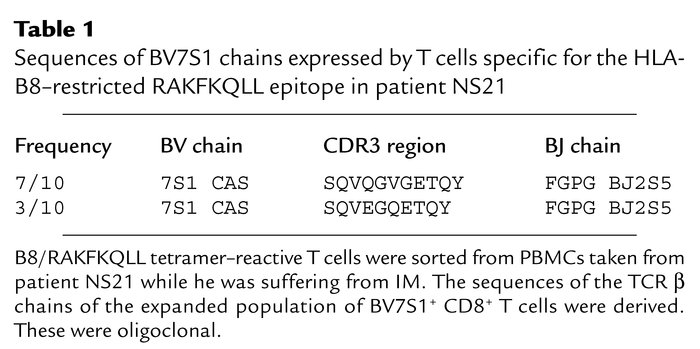 Sequences of BV7S1 chains expressed by T cells specific for the HLA-B8–r...