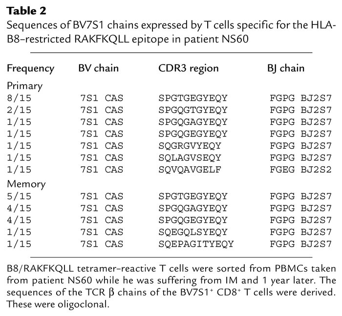 Sequences of BV7S1 chains expressed by T cells specific for the HLA-B8–r...