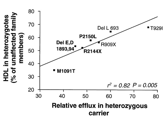 Average HDL in heterozygotes for each mutation (expressed as a percentag...