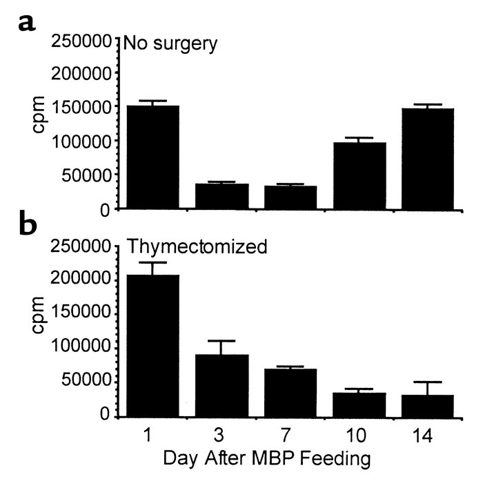 Vβ8+/CD4+ Tg T-cell function declines after MBP feeding. Euthymic and th...