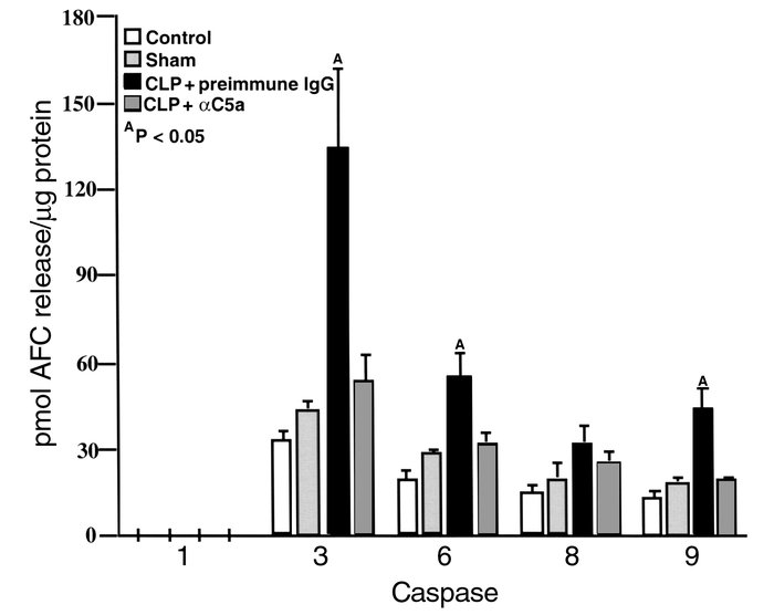 Inhibition of caspase activation in thymocytes by in vivo C5a blockade i...