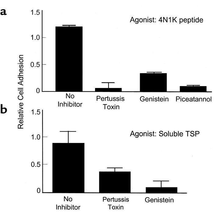 IAP-induced adhesion of SS RBCs requires Gi and tyrosine kinase activity...