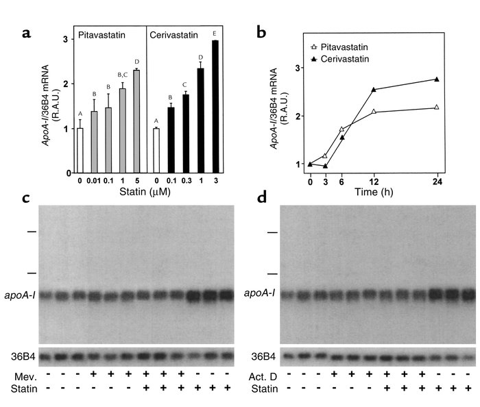 Statins induce apoA-I gene expression at the transcriptional level in He...