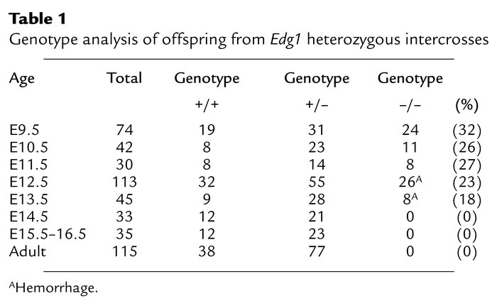 Genotype analysis of offspring from Edg1 heterozygous intercrosses