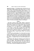 icon of scanned page 300