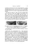 icon of scanned page 15