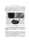 icon of scanned page 16