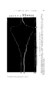 icon of scanned page 411