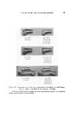 icon of scanned page 43