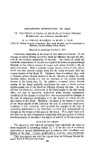 icon of scanned page 383