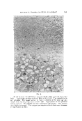 icon of scanned page 769