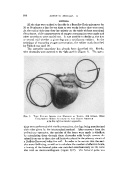 icon of scanned page 898