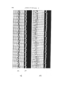 icon of scanned page 900