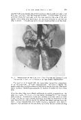 icon of scanned page 173