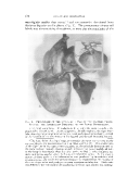icon of scanned page 176