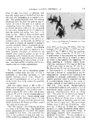 icon of scanned page 113
