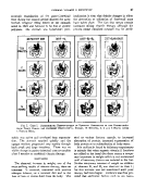 icon of scanned page 47