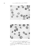 icon of scanned page 848