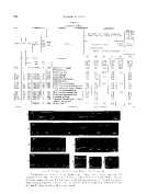 icon of scanned page 232