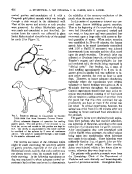 icon of scanned page 416
