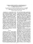 icon of scanned page 177