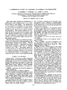 icon of scanned page 117