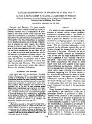 icon of scanned page 143