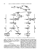 icon of scanned page 276