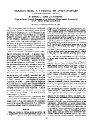 icon of scanned page 305