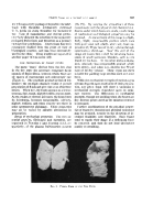 icon of scanned page 587