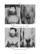 icon of scanned page 511