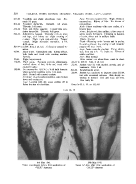 icon of scanned page 518