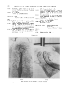 icon of scanned page 520
