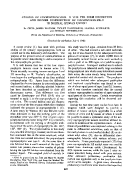 icon of scanned page 447