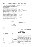 icon of scanned page 1024