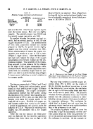 icon of scanned page 24