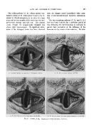 icon of scanned page 453